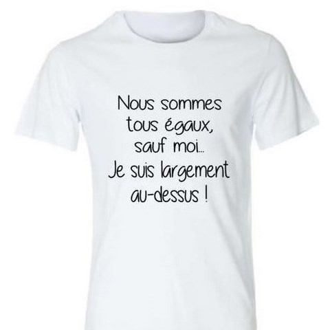 T-Shirt mixe personnalisable par sublimation